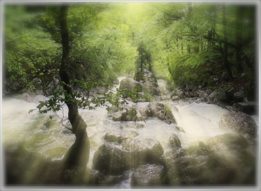 Morning Mist
