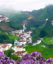 The Valley